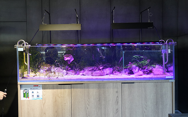 Introduction to the role of fish tank lights