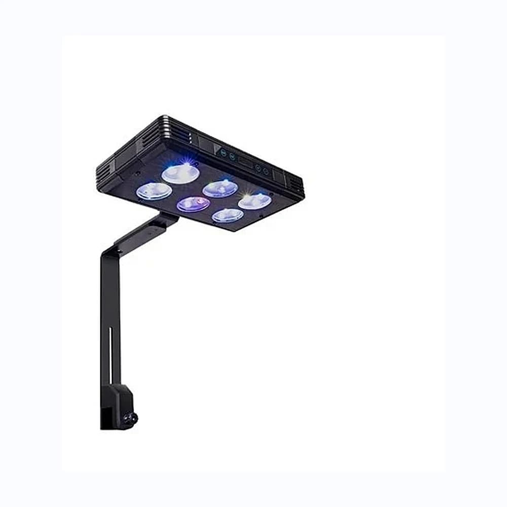 Aquarium Lights collection