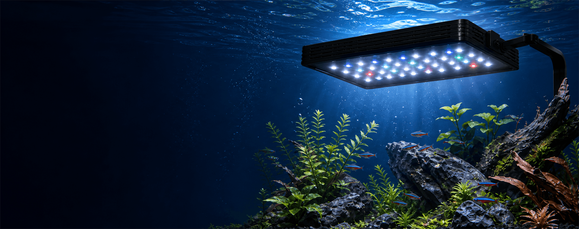 Aquarium light illuminating a freshwater aquascape